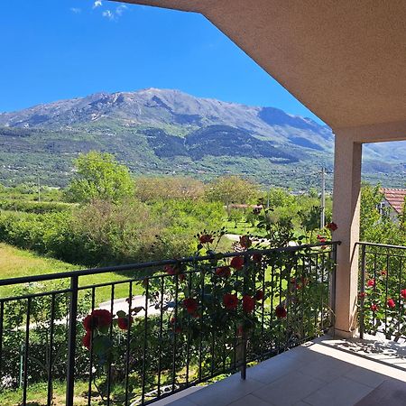 Apartmani Emma Kotor Buitenkant foto