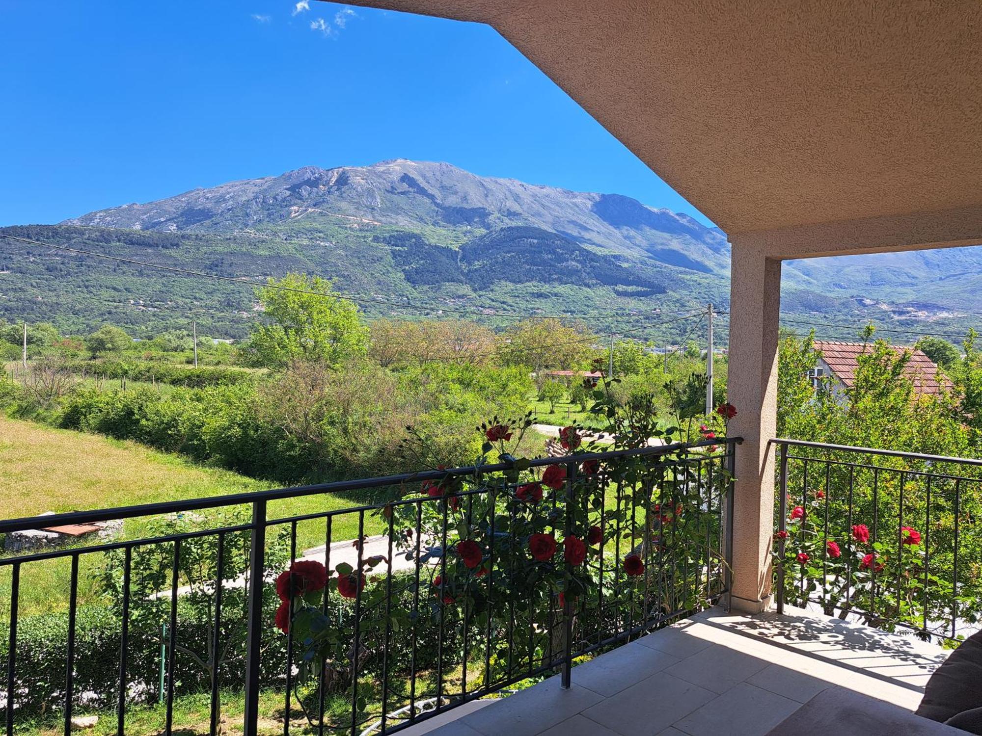 Apartmani Emma Kotor Buitenkant foto