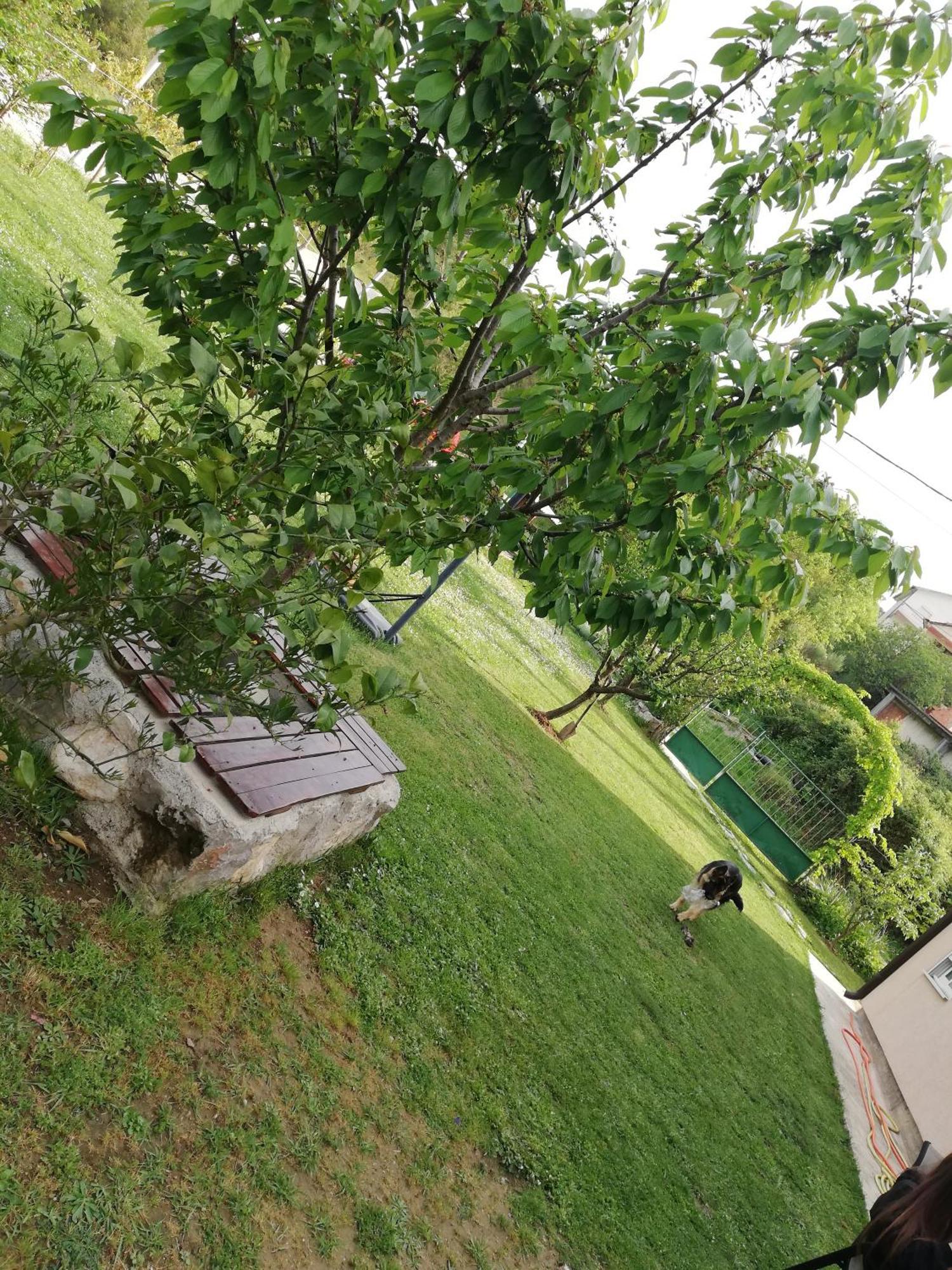 Apartmani Emma Kotor Kamer foto